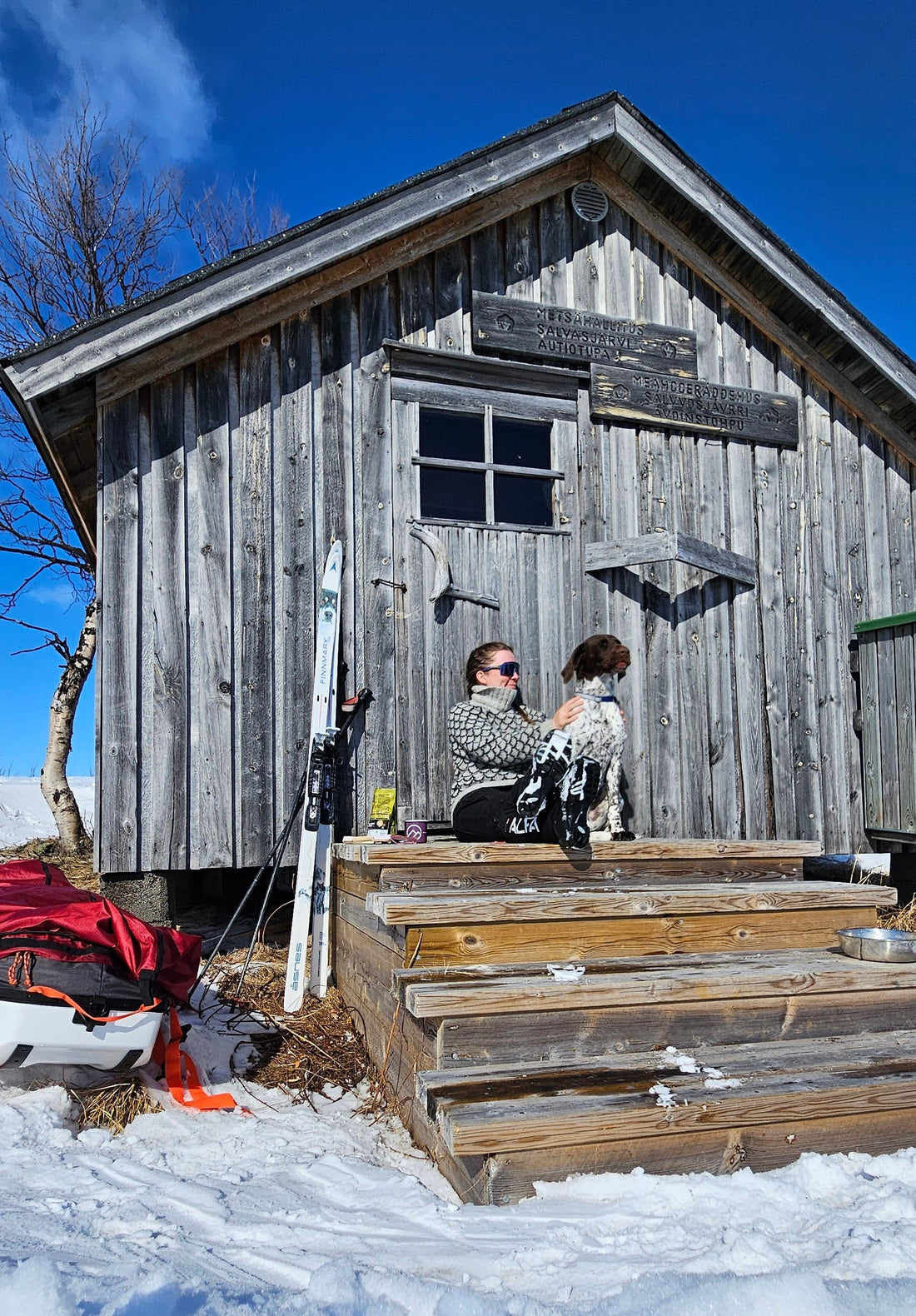 Bestagenseren og litt andre tanker