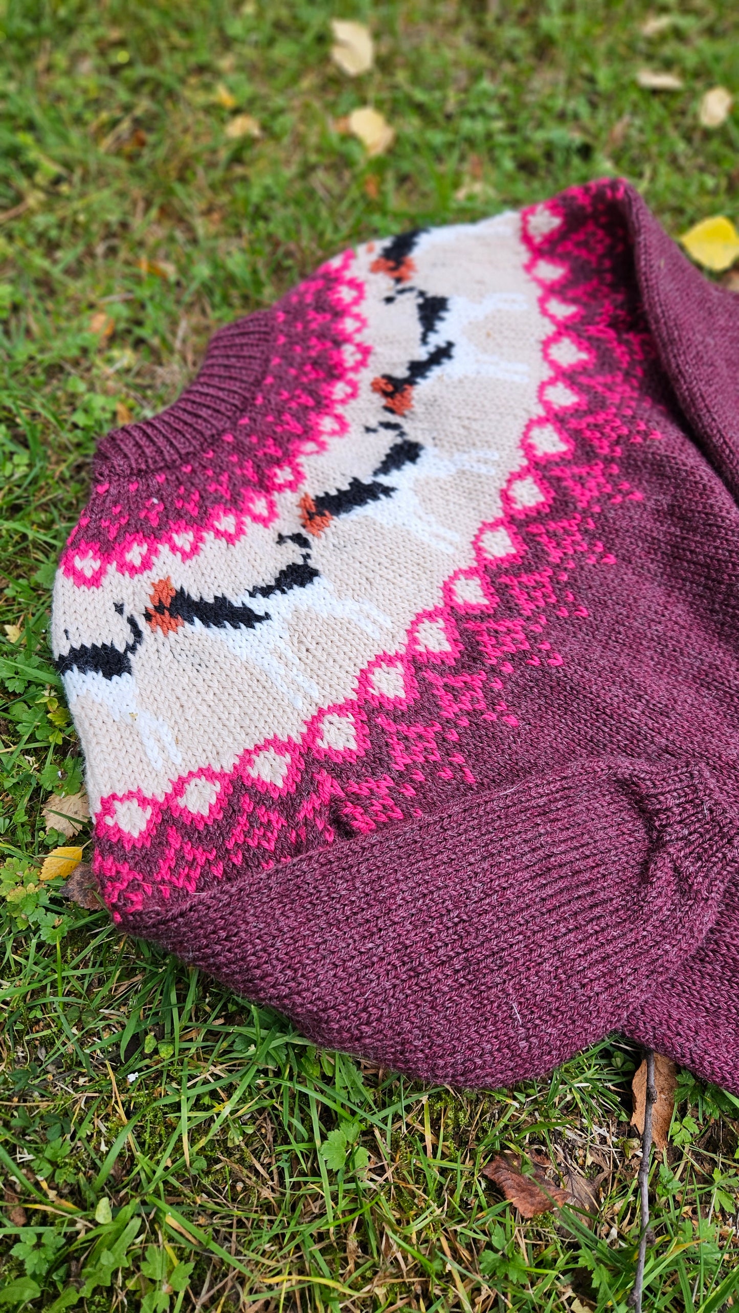 Gårdshundgenser str 6 år