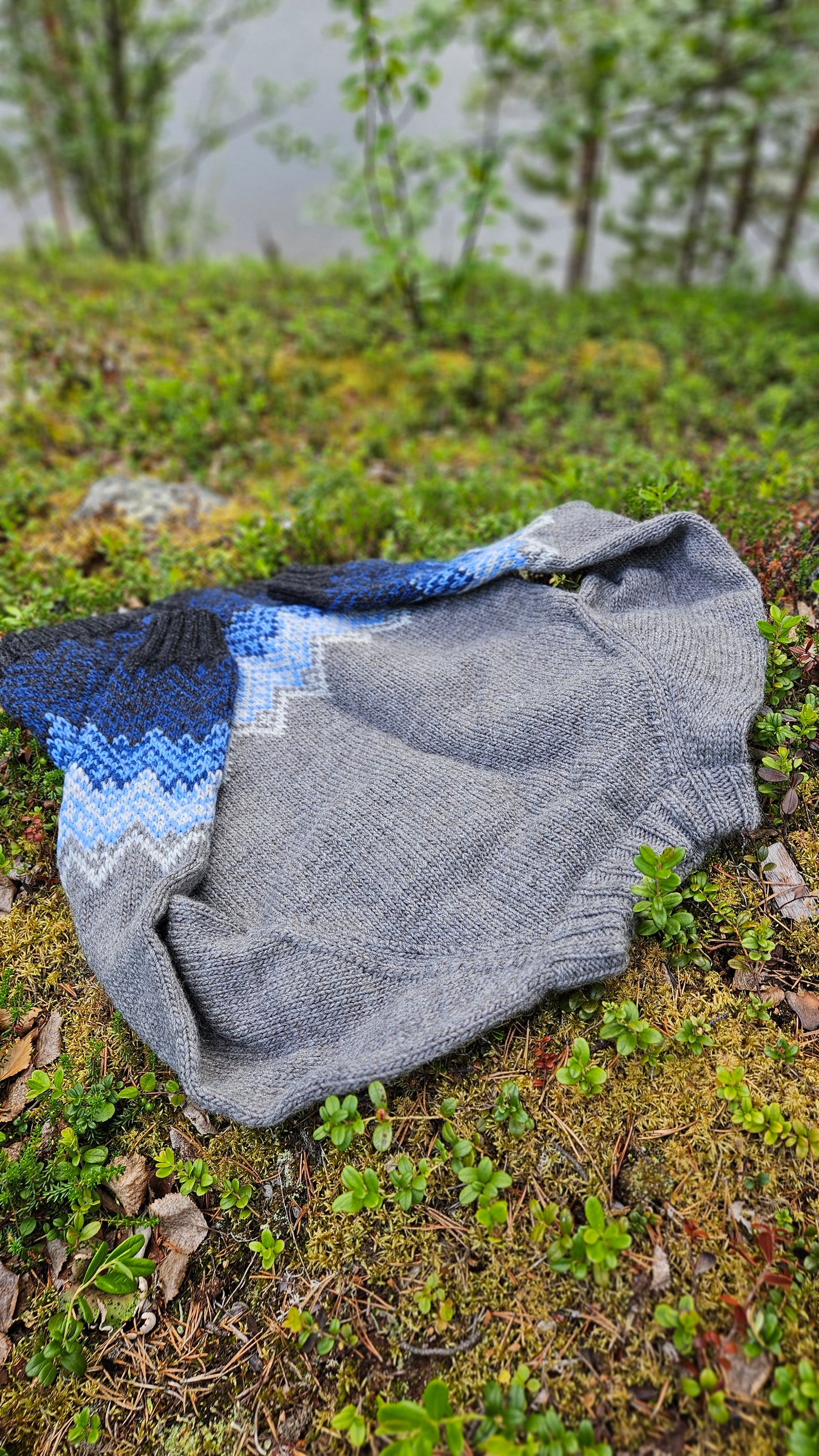 Dálvigenseren str XS