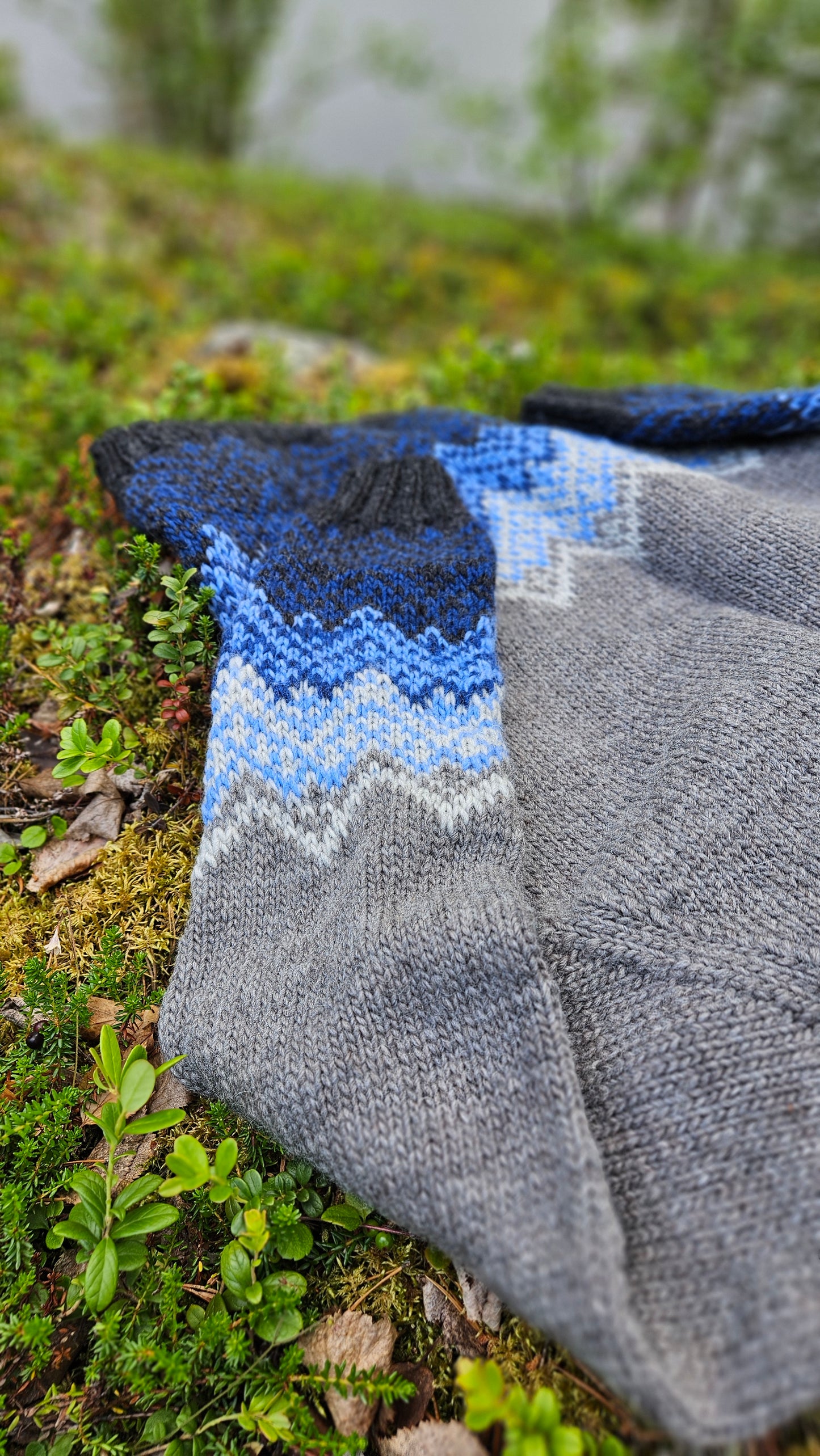 Dálvigenseren str XS